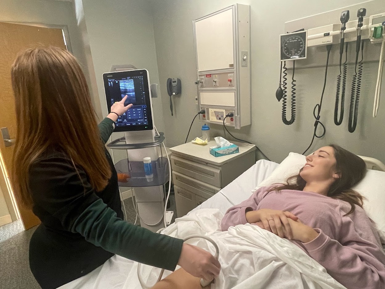 Woman laying in bed. Nurse showing an ultrasound video on computer screen.